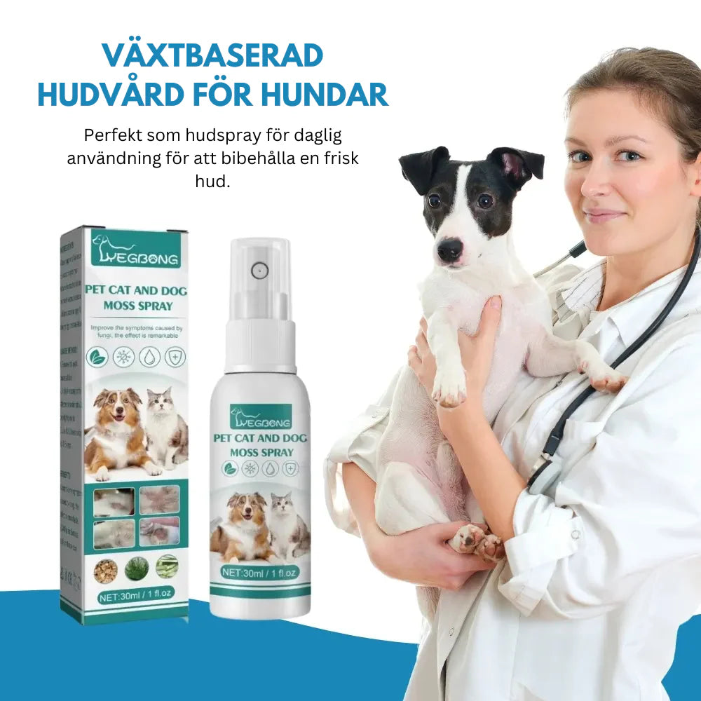 ItchEase® | Skonsam vård för kliande tassar och välmående hundar SE